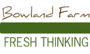 Chick Hatching for Schools